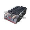 Gas 5 Big Fish Waffle Maker FWB-G1101B Fomac